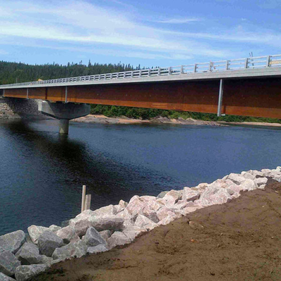 La CINA Ponte d'acciaio a senso unico d'acciaio della trave a scatola del ponte pedonale della multi portata fornitore